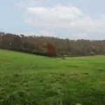 Meadow View Cottage